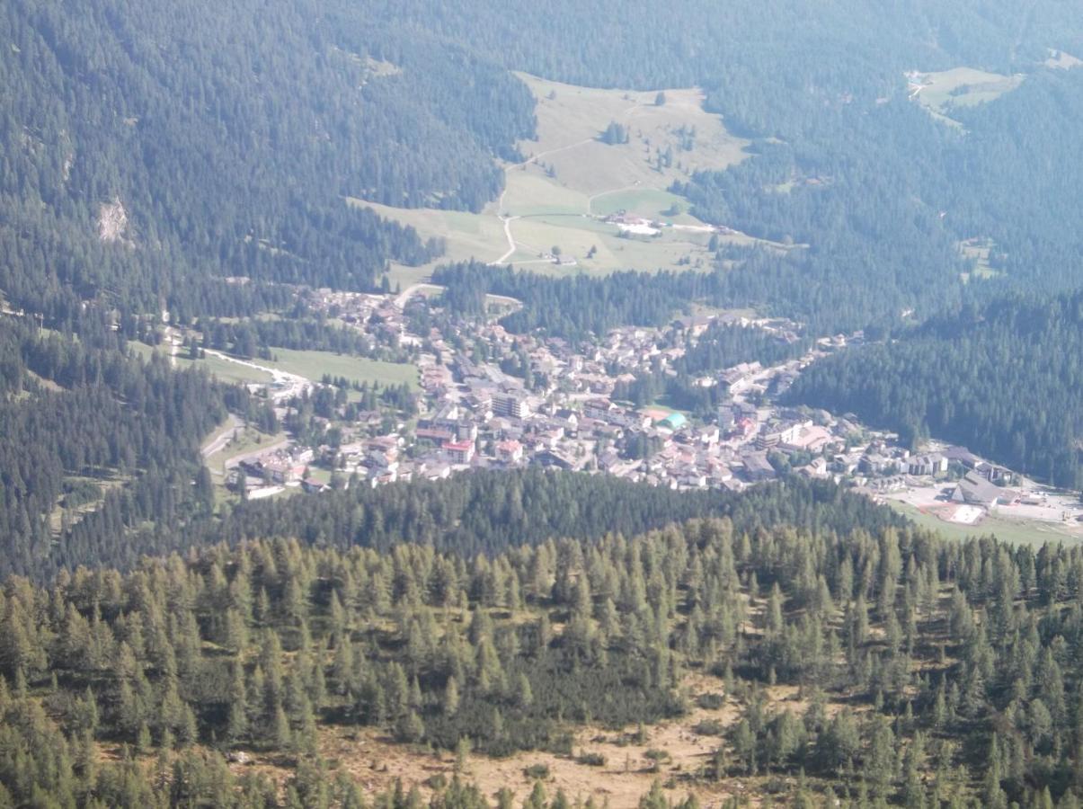 Hotel Garni Suisse サン・マルティーノ・ディ・カストロッツァ エクステリア 写真