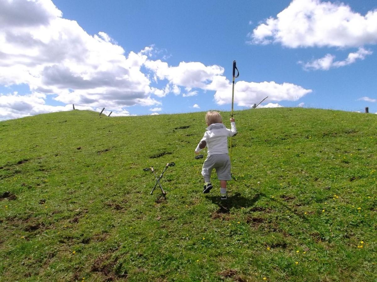 Hotel Garni Suisse サン・マルティーノ・ディ・カストロッツァ エクステリア 写真