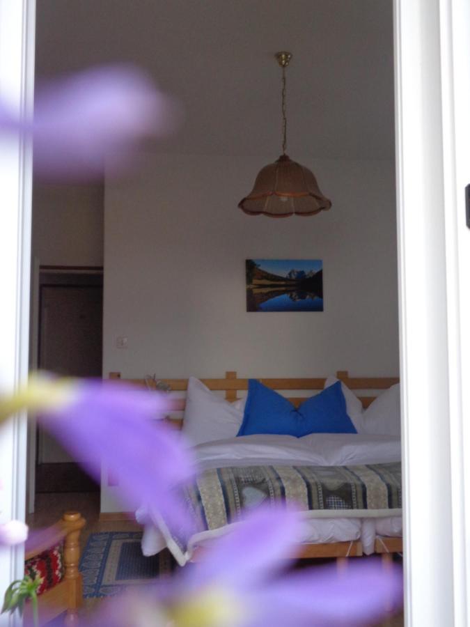 Hotel Garni Suisse サン・マルティーノ・ディ・カストロッツァ エクステリア 写真